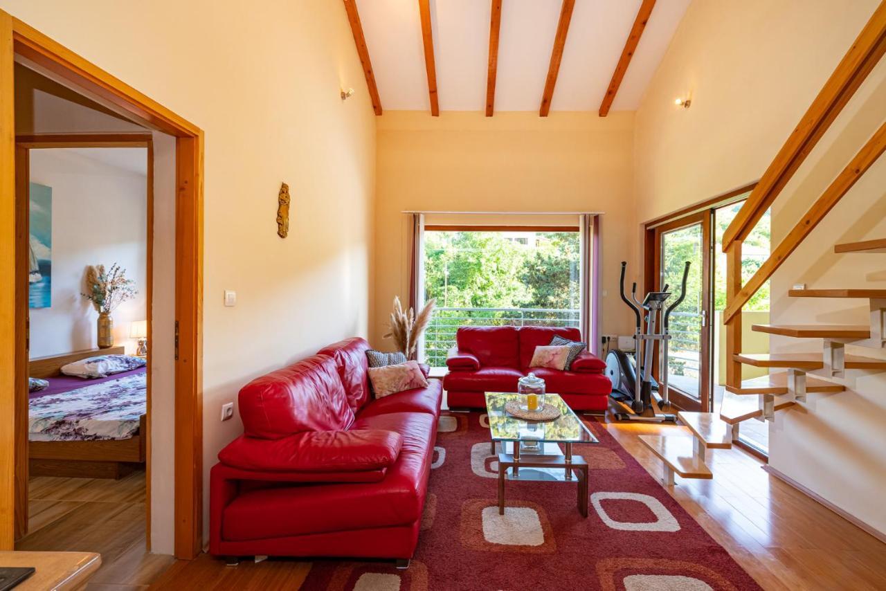 Apartments Maris Novigrad  Exterior foto