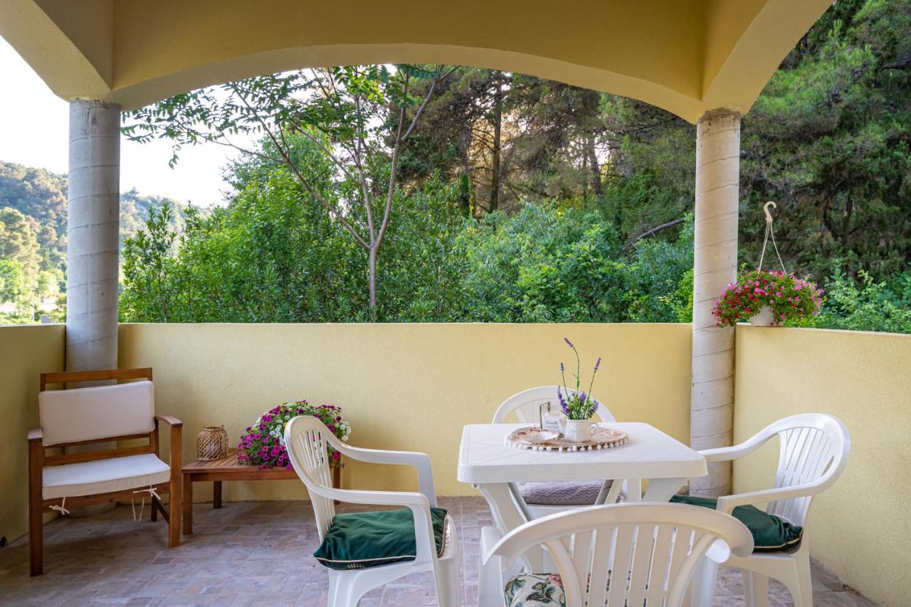 Apartments Maris Novigrad  Exterior foto