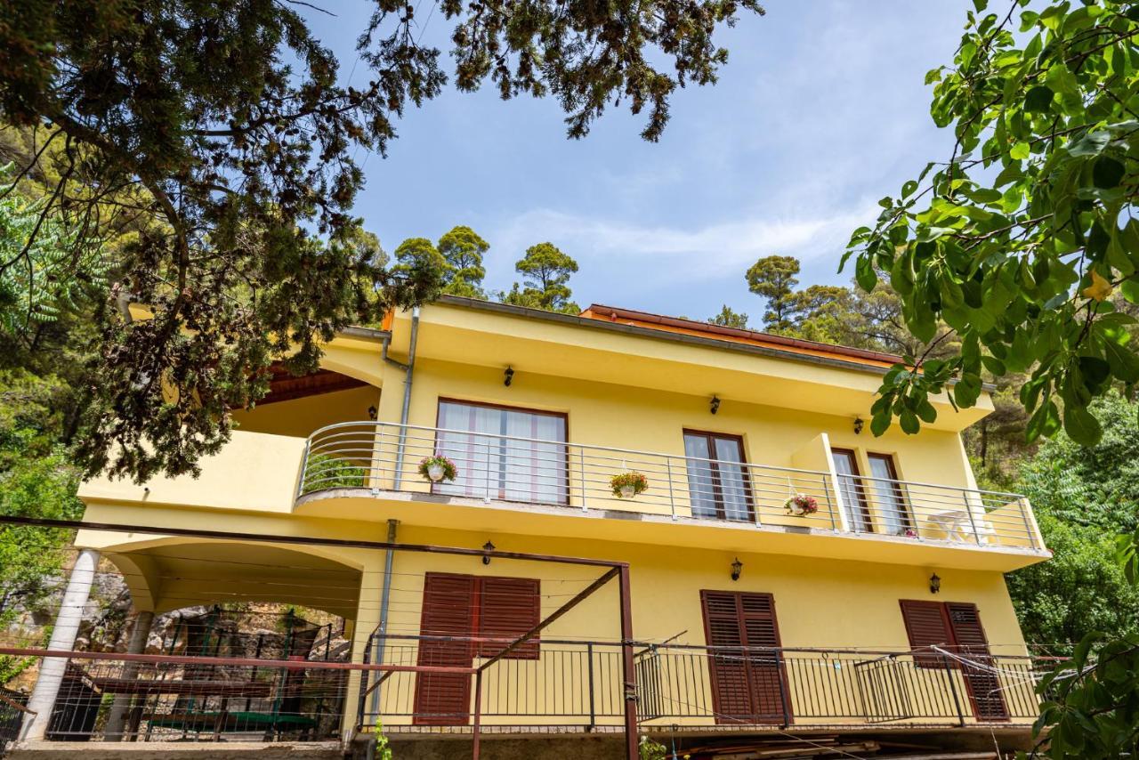Apartments Maris Novigrad  Exterior foto