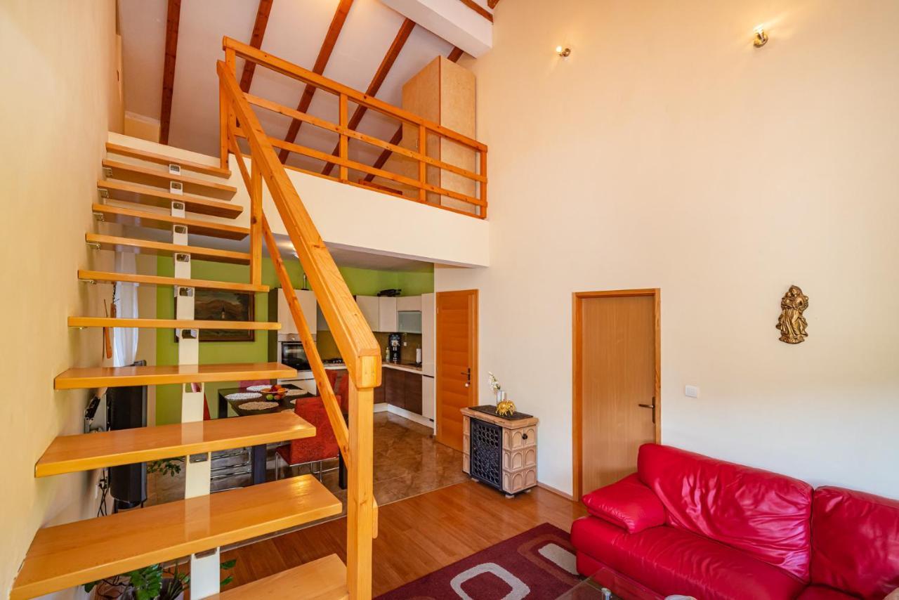 Apartments Maris Novigrad  Exterior foto