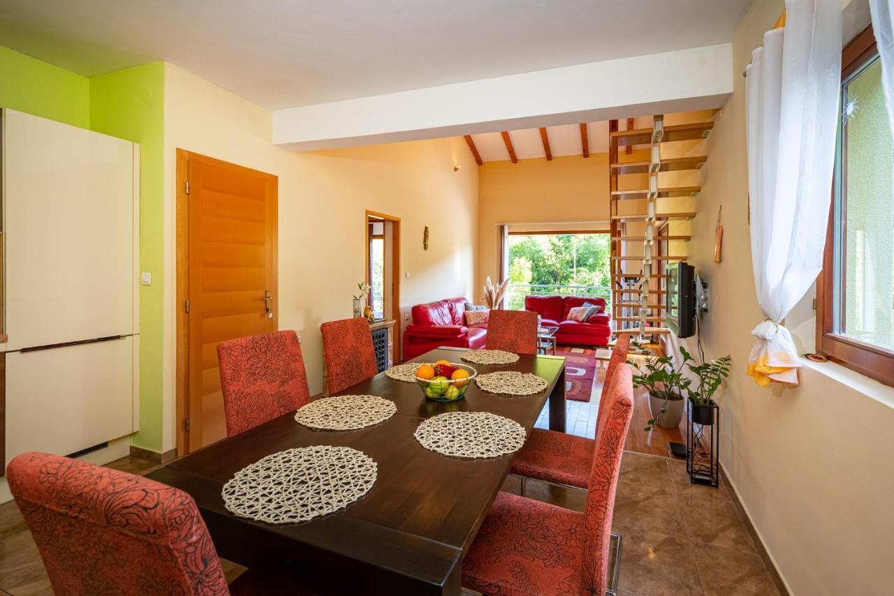 Apartments Maris Novigrad  Exterior foto