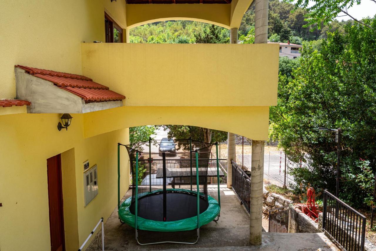Apartments Maris Novigrad  Exterior foto